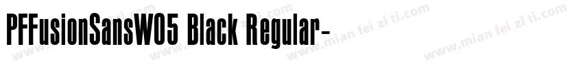 PFFusionSansW05 Black Regular字体转换